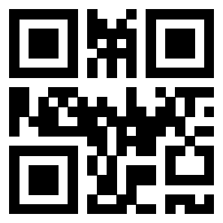 Il Qr Code di 3917279866