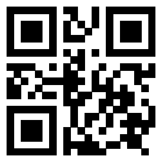 Il Qr Code di 3917280059