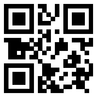Il Qr Code di 3917280596