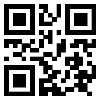 Il Qr Code di 3917280703