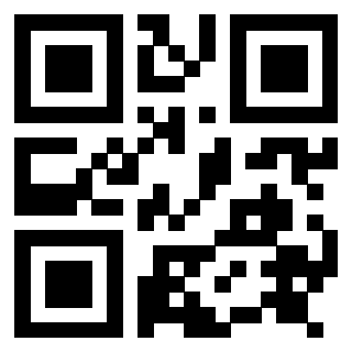 QrCode di 3917280704