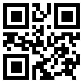Il Qr Code di 3917280761