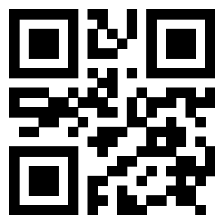 Il Qr Code di 3917280764