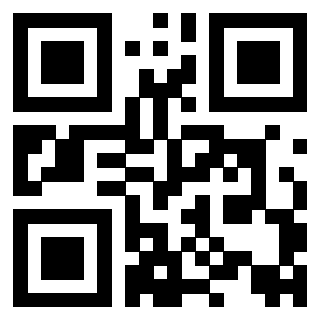 Il Qr Code di 3917280816