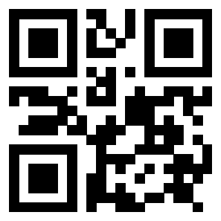Il Qr Code di 3917280854