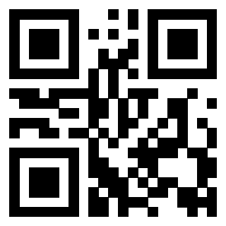 QrCode di 3917280953
