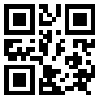 Il Qr Code di 3917280962