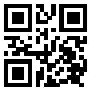 Il Qr Code di 3917281060