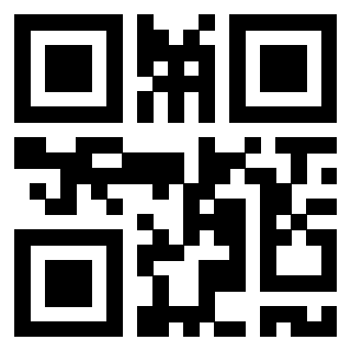 Il Qr Code di 3917281087