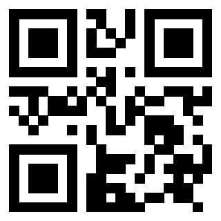 Il Qr Code di 3917281253