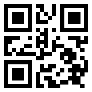 Il Qr Code di 3917281342
