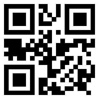 Il Qr Code di 3917302818
