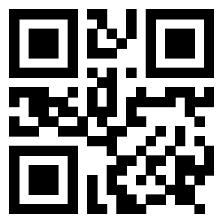 Il Qr Code di 3917302881