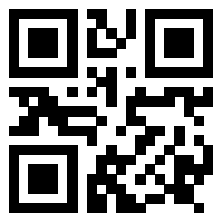 Il Qr Code di 3917302898
