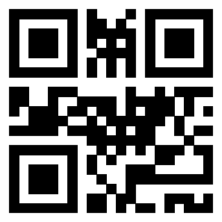Il Qr Code di 3917302912
