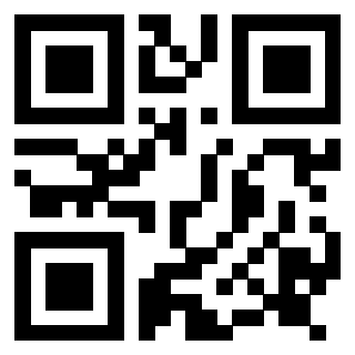Il Qr Code di 3917303070