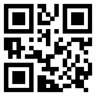 Il Qr Code di 3917303086