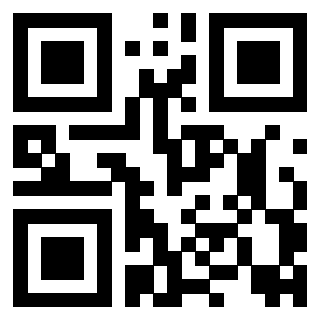 Il Qr Code di 3917303095