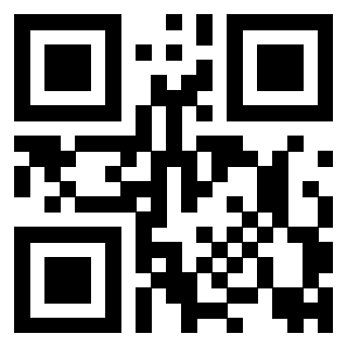 Il Qr Code di 3917303208