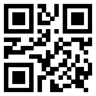 Il Qr Code di 3917303244