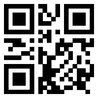 Il Qr Code di 3917303260