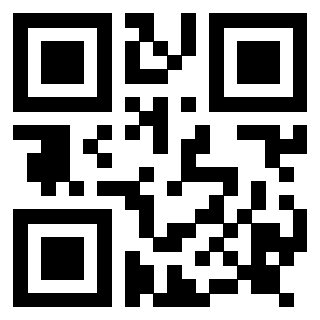 Il Qr Code di 3917303404