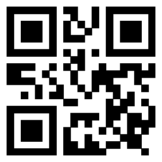 Il Qr Code di 3917329867