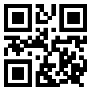 Il Qr Code di 3917329897