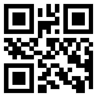 QrCode di 3917330030