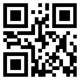 Il Qr Code di 3917330039