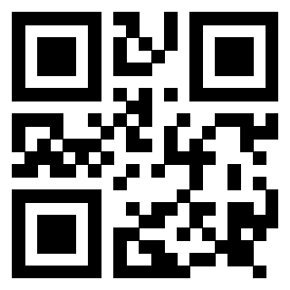 Il Qr Code di 3917330051