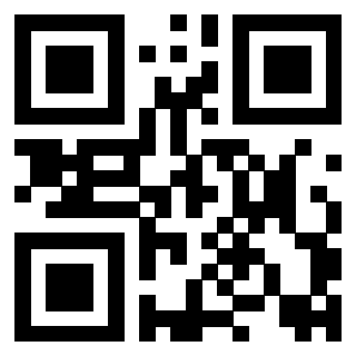 Il Qr Code di 3917330061