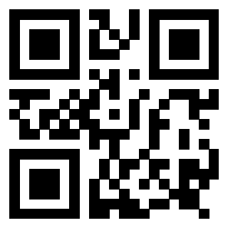 Il Qr Code di 3917330071