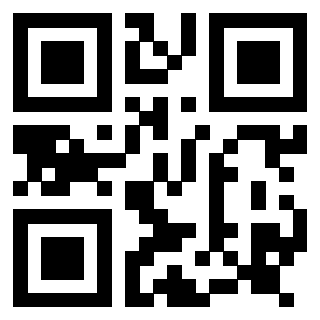 Il Qr Code di 3917330077
