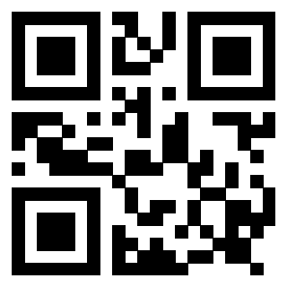Il Qr Code di 3917378453