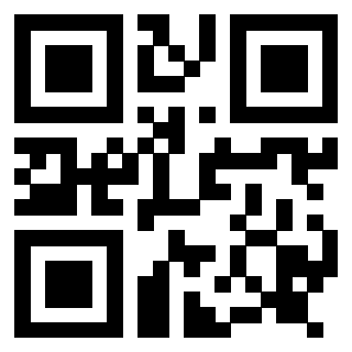 Il Qr Code di 3917378883