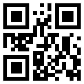 Il Qr Code di 3917378999