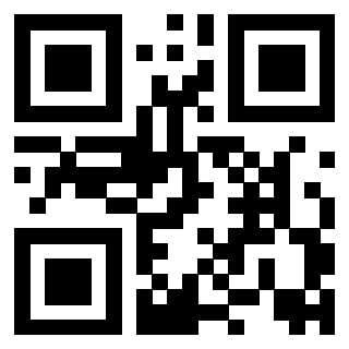 Il Qr Code di 3917379029