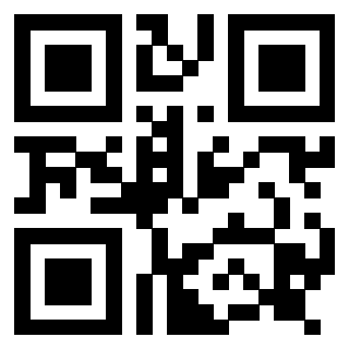 Il Qr Code di 3917379084