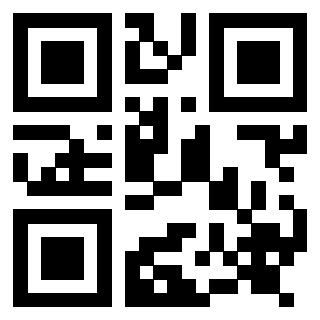 QrCode di 3917465453