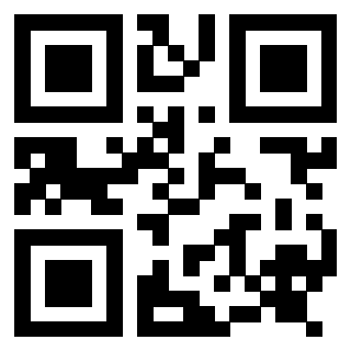 QrCode di 3917492335