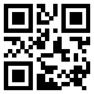 Il Qr Code di 3917492492