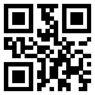 Il Qr Code di 3917492511