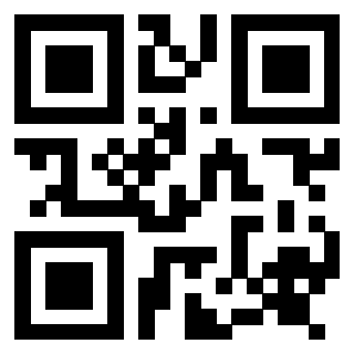 Il Qr Code di 3917492557