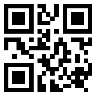 QrCode di 3917492569