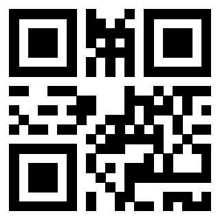 Il Qr Code di 3917492671