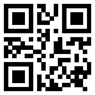 QrCode di 3917492719