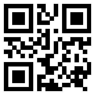 Il Qr Code di 3917492781