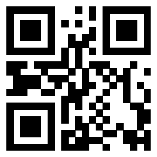 Il Qr Code di 3917493020