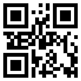 Il Qr Code di 3917493091
